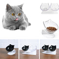 Elevated Single Cat Food Bowl – Black, Neck-Friendly Tilted Design