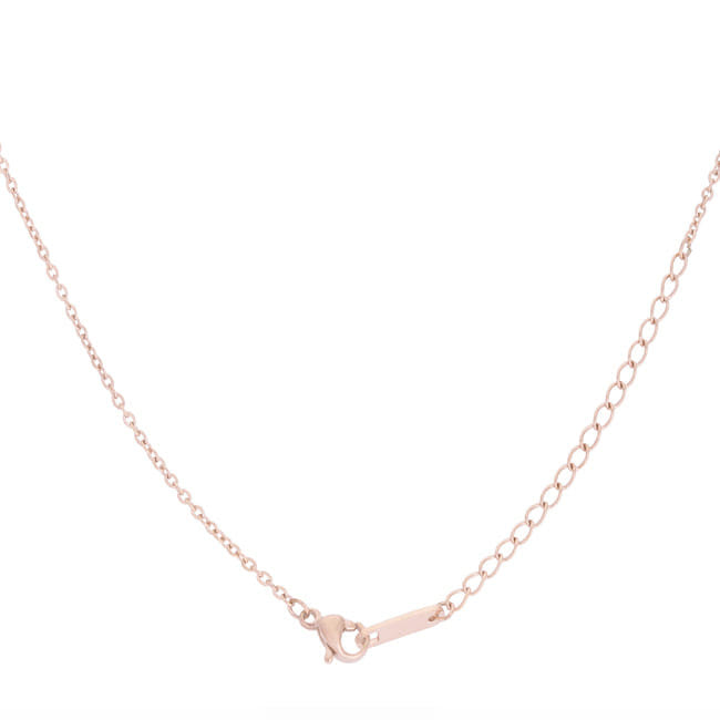 Arianna Rose Gold Stainless Steel Arrow Necklace-0