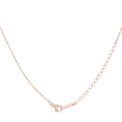 Arianna Rose Gold Stainless Steel Arrow Necklace-0
