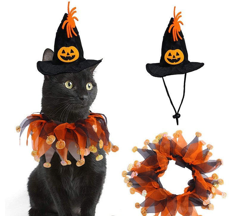 Pet Witch Hat Halloween Costume for Cats — Cute Witch Costume for Small Dogs