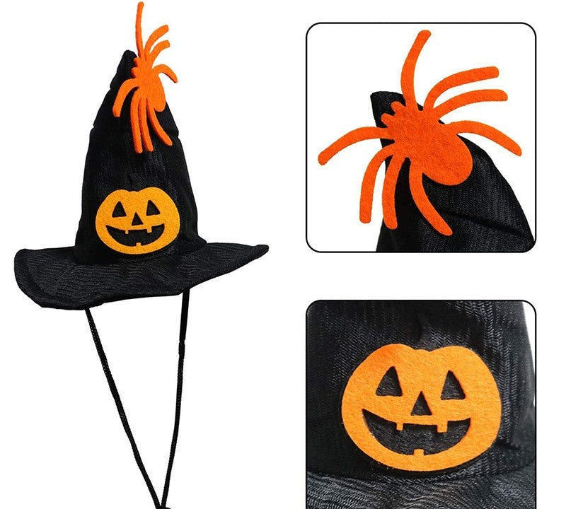 Pet Witch Hat Halloween Costume for Cats — Cute Witch Costume for Small Dogs