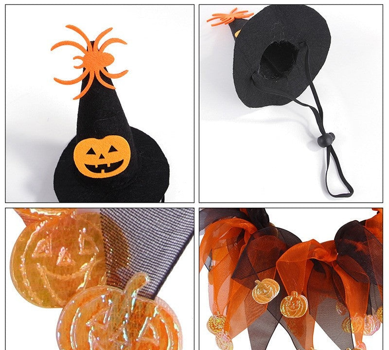 Pet Witch Hat Halloween Costume for Cats — Cute Witch Costume for Small Dogs